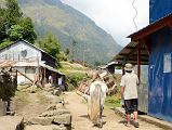 Nayapul To Ghorepani 21 Walking Through Banthanti